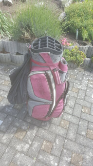 Bag Ping - 3