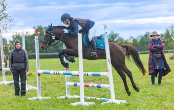 Klisna do sportu a chovu - 3