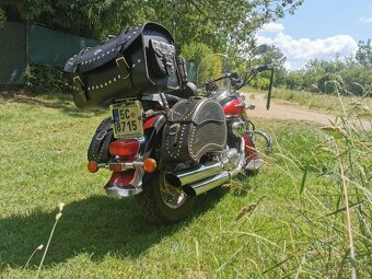 Suzuki Volusia VL 800 - 3