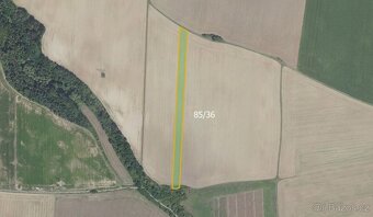 Zemědělská půda, prodej, Černíky, Nymburk - 3