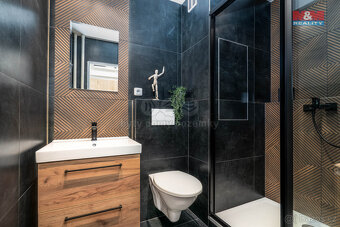 Pronájem bytu 1+kk, 35 m², Hradec Králové, ul. Třebechovická - 3