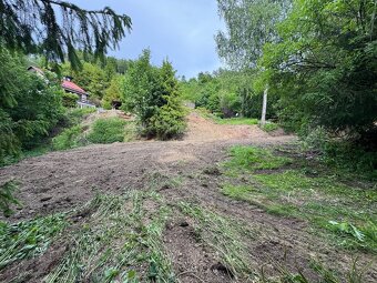 Prodej stavebního pozemku - Dolní Bušínov - 1127 m² - 3