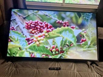 4K Smart LG televizor - 3