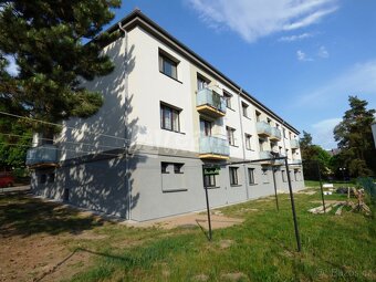 Pronájem bytu 2+1 s balkonem, Náměšť nad Oslavou - 3