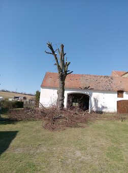 Rizikové kácení prořezávání stromů - 3