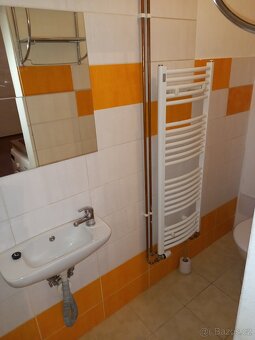 Pronajmu BYT-garsonku Sedlčany - 3