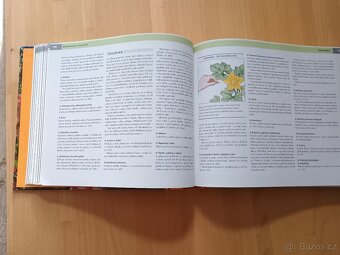 Rok v zahradě - 3