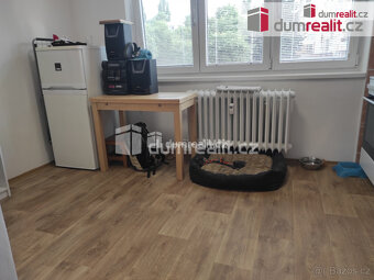 Pronájem bytu 1 + kk, 16 m2, zvýšené přízemí, velký sklep - 3