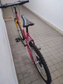 Dětské horské kolo Favorit Junior 24 - 3