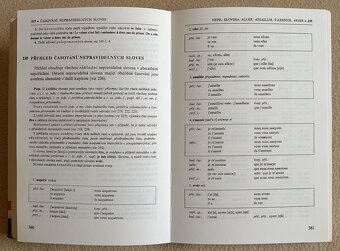 Francouzska mluvnice - 3