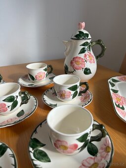 servis Villeroy & Boch Wild Rose - 3