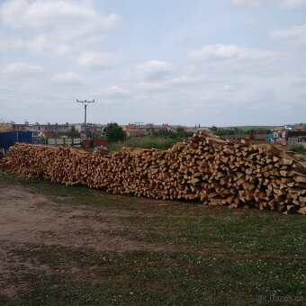 akatove kůly ,sloupky - 3