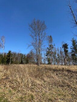 Prodám pozemky v k.ú. Horní Bolíkov Studená, okres Jindřichů - 3