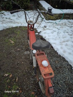 Babeta červená - 3