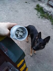 Kotoučová pila - 3