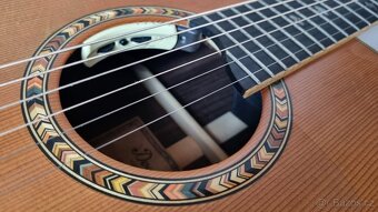 Celomasivní elektroakustika Dowina - 3