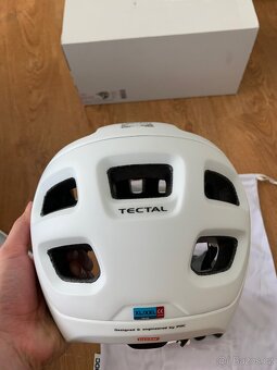 Helma poc tectal - 3