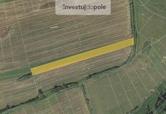 Prodej zemědělské půdy v k.ú. Soběsuky u Nepomuka a Nepomuk - 3