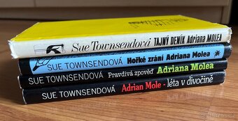 Adrian Mole - Sue Townsend - 3