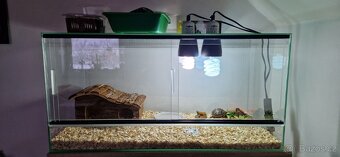 Terarium 70x35x31 Akvamex - 3