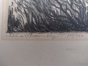 OBRAZ BEDŘICH VALDAUF - 3