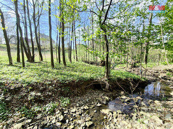 Prodej pozemku k bydlení, 4646 m², Žermanice - 3