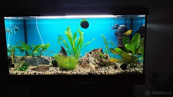 Akvarijní set Diversa 80, 112l - 3