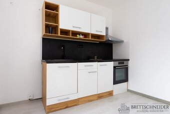 Pronájem bytu 1+1, 40 m2 - Ostrava - Moravská Ostrava - 3