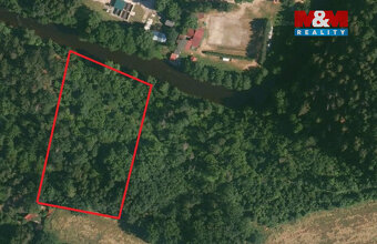 Prodej lesa, 6543 m², Římov - Branišovice - 3