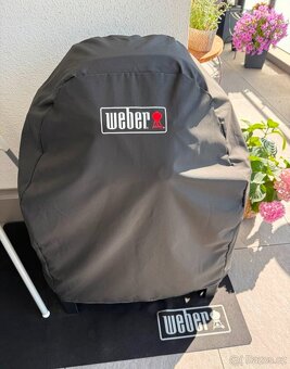 Gril Weber Pulse 1000 - 3