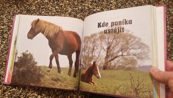 MŮJ PRVNÍ PONÍK - 3