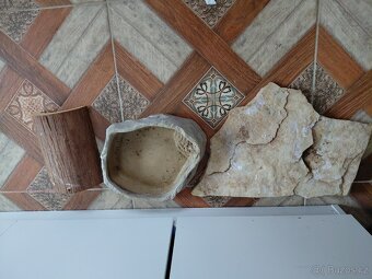 Terarium - 3