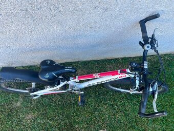 Leader Fox Spider - 3
