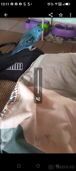 Aymara - 3