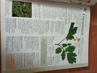 Encyklopedie homeopatie - 3