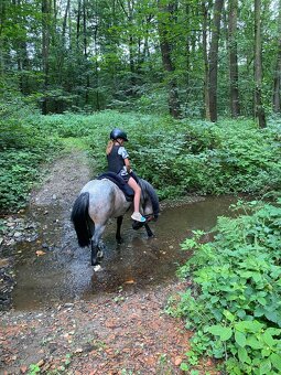 Charakterní první pony kat. S - 3