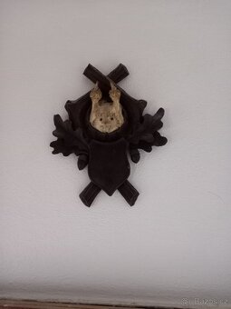 Věšák z paroží a další - 3