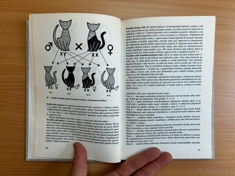 Atlas Plemen Koček - 3