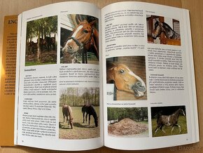 Encyklopedie koní - 3