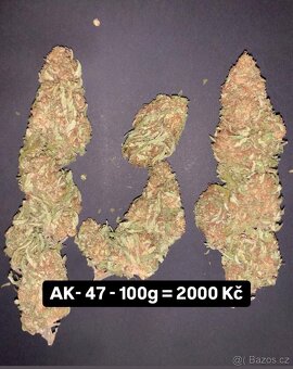 CBD kvety - 3