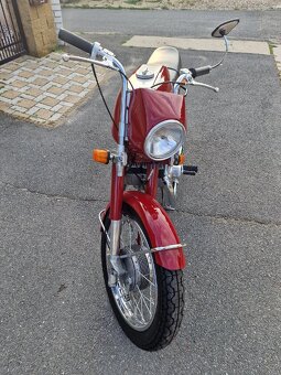 Jawa bizon - 3
