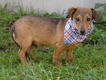 Jeremy hledá domov - 3