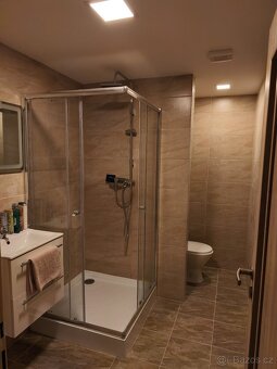 Pronájem bytu 1+1 - 3