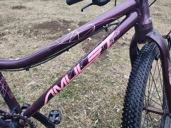 Amulet tomcat 24 - 3