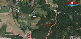 Prodej lesa, 18400 m², Putim - 3