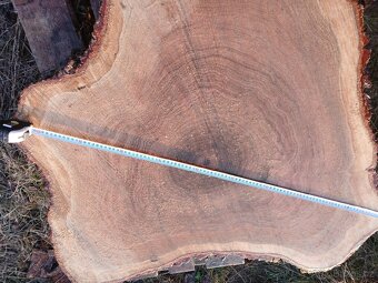 Dubové koláče - 3