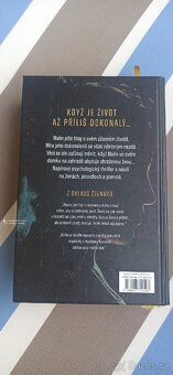 PRO TEBE VŠECHNO - thriller - 3