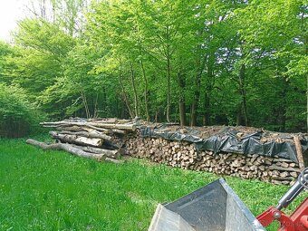 PALIVOVÉ DŘEVO - 3