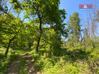 Prodej lesa, 15167 m², Kropáčova Vrutice - 3