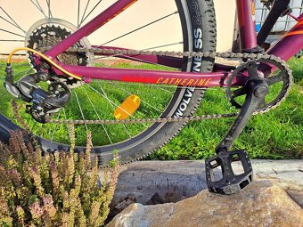 Rock Machine Catherine 24" TOP STAV - 3